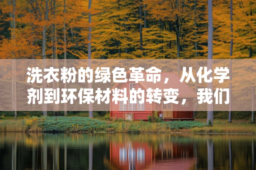 洗衣粉的绿色革命，从化学剂到环保材料的转变，我们准备好了吗？