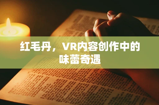 红毛丹，VR内容创作中的味蕾奇遇