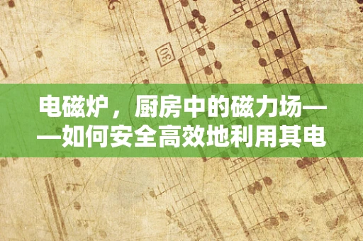 电磁炉，厨房中的磁力场——如何安全高效地利用其电磁波烹饪？