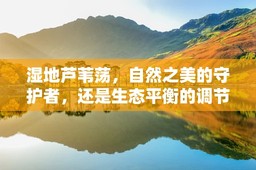 湿地芦苇荡，自然之美的守护者，还是生态平衡的调节师？