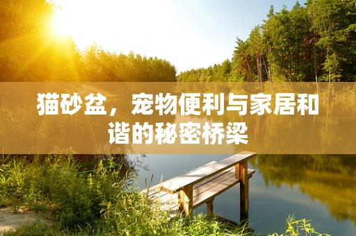 猫砂盆，宠物便利与家居和谐的秘密桥梁