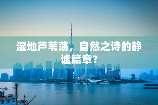 湿地芦苇荡，自然之诗的静谧篇章？