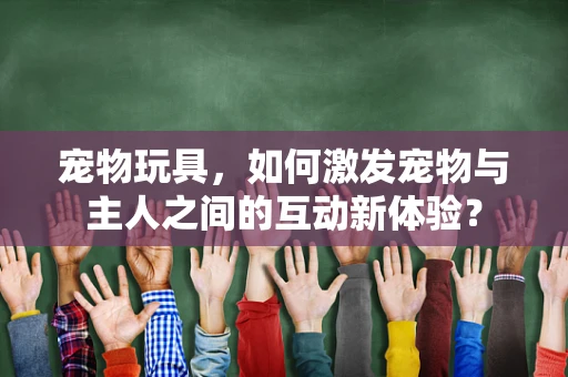 宠物玩具，如何激发宠物与主人之间的互动新体验？