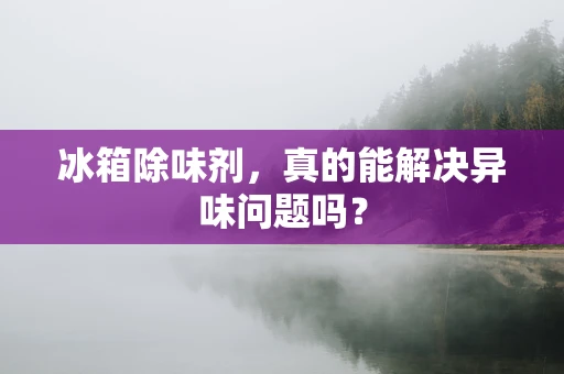冰箱除味剂，真的能解决异味问题吗？