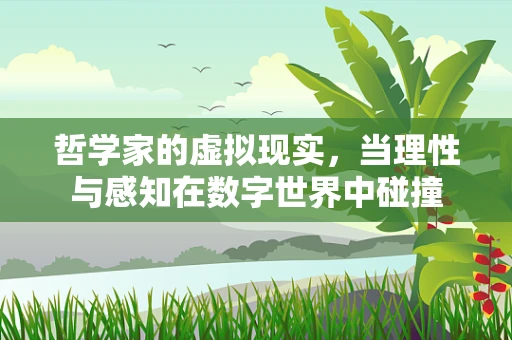 哲学家的虚拟现实，当理性与感知在数字世界中碰撞