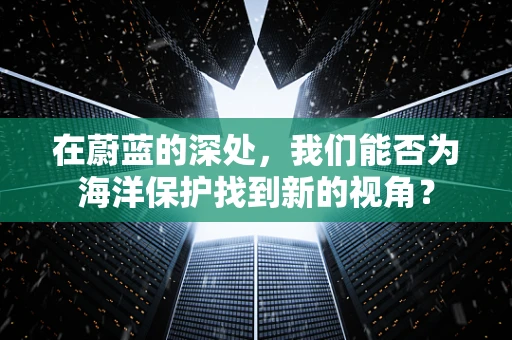 在蔚蓝的深处，我们能否为海洋保护找到新的视角？