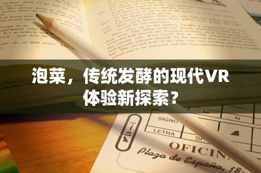 泡菜，传统发酵的现代VR体验新探索？