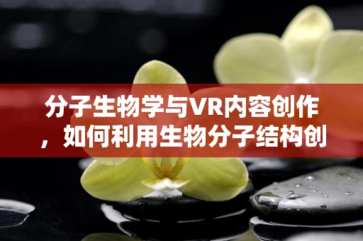 分子生物学与VR内容创作，如何利用生物分子结构创造沉浸式体验？
