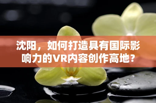 沈阳，如何打造具有国际影响力的VR内容创作高地？