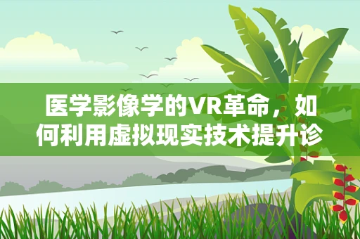 医学影像学的VR革命，如何利用虚拟现实技术提升诊断精度？