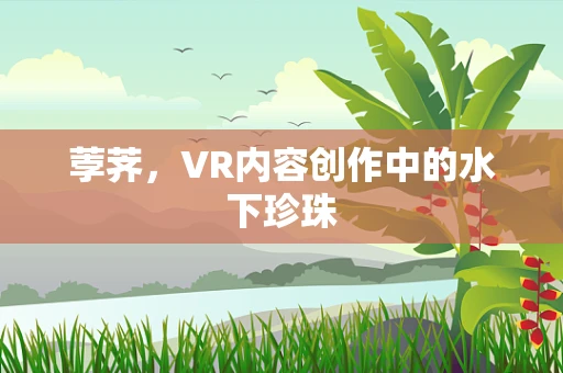 荸荠，VR内容创作中的水下珍珠