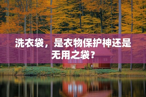 洗衣袋，是衣物保护神还是无用之袋？
