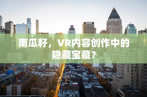 南瓜籽，VR内容创作中的隐藏宝藏？