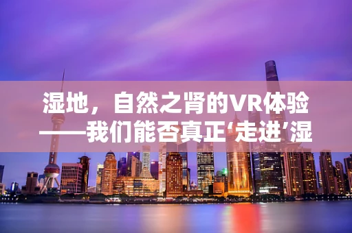 湿地，自然之肾的VR体验——我们能否真正‘走进’湿地？