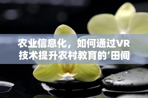 农业信息化，如何通过VR技术提升农村教育的‘田间’视野？