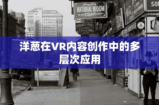 洋葱在VR内容创作中的多层次应用