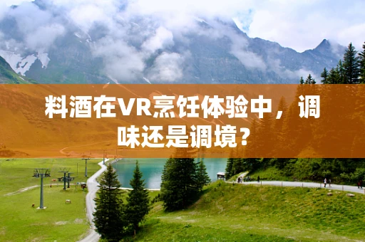 料酒在VR烹饪体验中，调味还是调境？