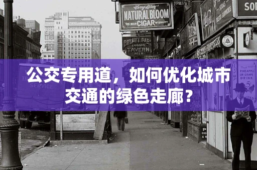 公交专用道，如何优化城市交通的绿色走廊？