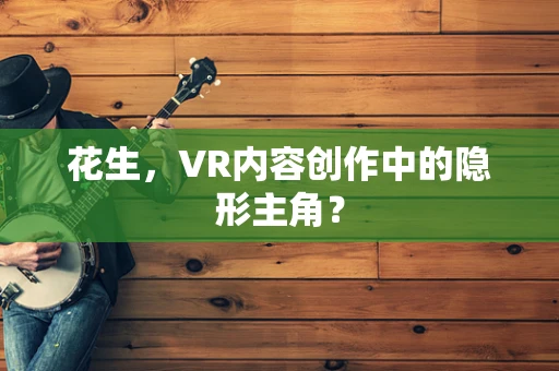 花生，VR内容创作中的隐形主角？