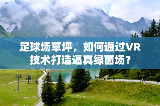 足球场草坪，如何通过VR技术打造逼真绿茵场？