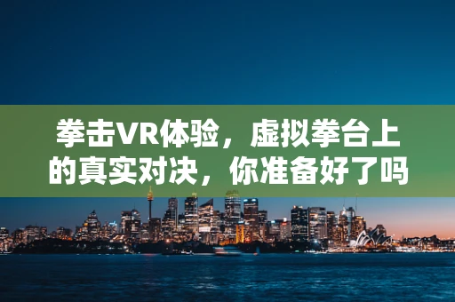 拳击VR体验，虚拟拳台上的真实对决，你准备好了吗？