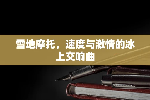 雪地摩托，速度与激情的冰上交响曲