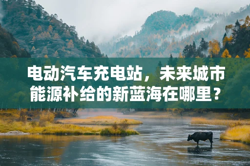 电动汽车充电站，未来城市能源补给的新蓝海在哪里？