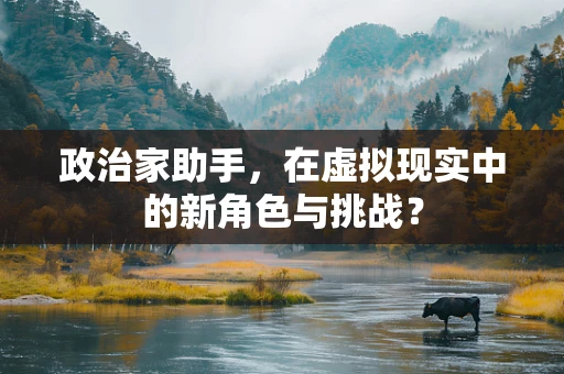 政治家助手，在虚拟现实中的新角色与挑战？