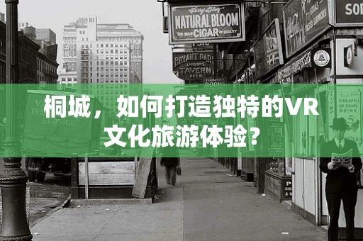 桐城，如何打造独特的VR文化旅游体验？