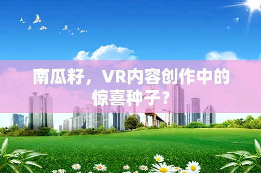 南瓜籽，VR内容创作中的惊喜种子？