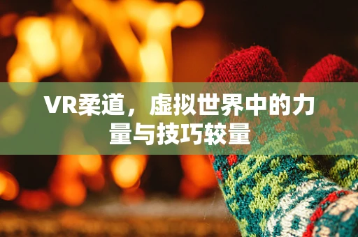 VR柔道，虚拟世界中的力量与技巧较量