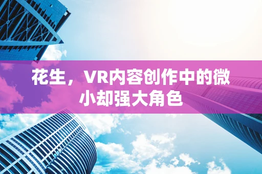 花生，VR内容创作中的微小却强大角色