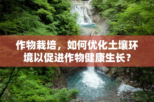 作物栽培，如何优化土壤环境以促进作物健康生长？
