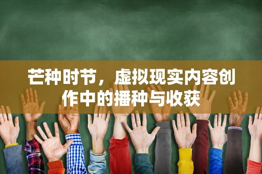 芒种时节，虚拟现实内容创作中的播种与收获