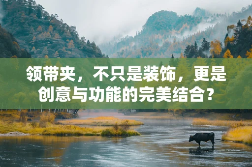 领带夹，不只是装饰，更是创意与功能的完美结合？