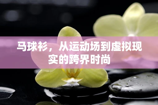 马球衫，从运动场到虚拟现实的跨界时尚