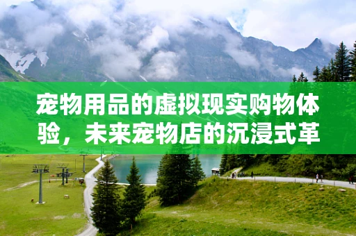 宠物用品的虚拟现实购物体验，未来宠物店的沉浸式革新？