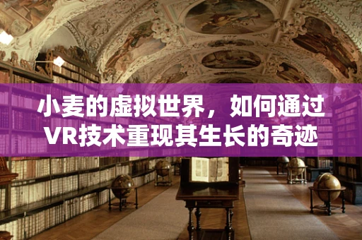 小麦的虚拟世界，如何通过VR技术重现其生长的奇迹？