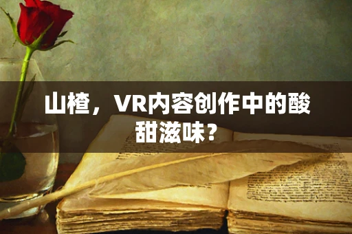 山楂，VR内容创作中的酸甜滋味？