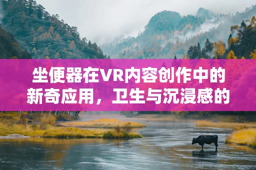 坐便器在VR内容创作中的新奇应用，卫生与沉浸感的完美融合？