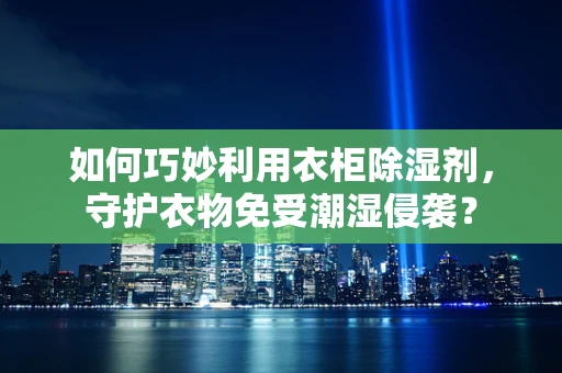 如何巧妙利用衣柜除湿剂，守护衣物免受潮湿侵袭？
