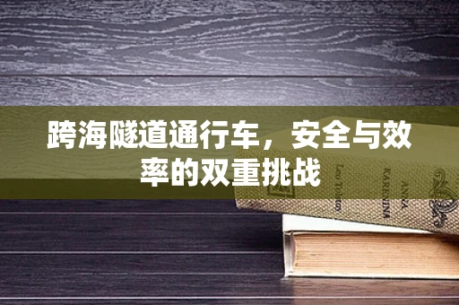 跨海隧道通行车，安全与效率的双重挑战