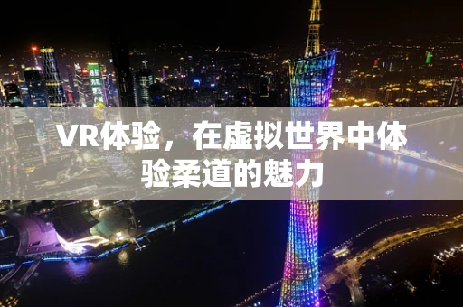 VR体验，在虚拟世界中体验柔道的魅力