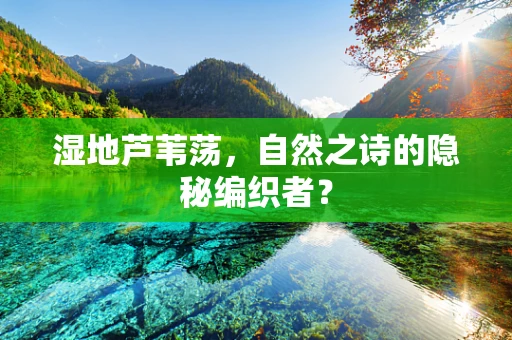 湿地芦苇荡，自然之诗的隐秘编织者？