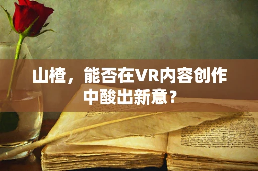 山楂，能否在VR内容创作中酸出新意？
