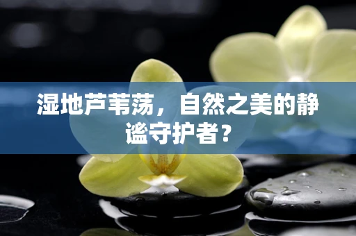 湿地芦苇荡，自然之美的静谧守护者？