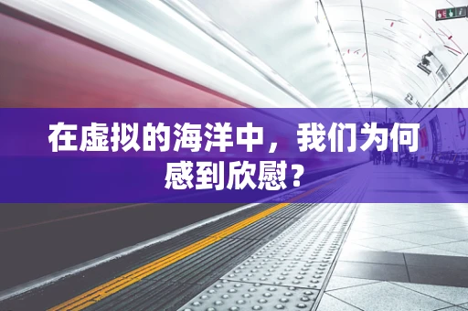 在虚拟的海洋中，我们为何感到欣慰？