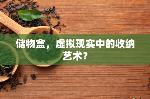 储物盒，虚拟现实中的收纳艺术？
