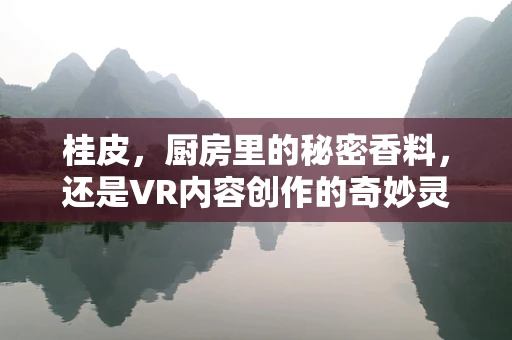 桂皮，厨房里的秘密香料，还是VR内容创作的奇妙灵感？