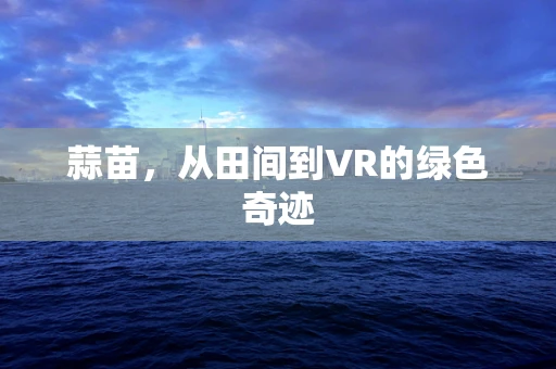 蒜苗，从田间到VR的绿色奇迹